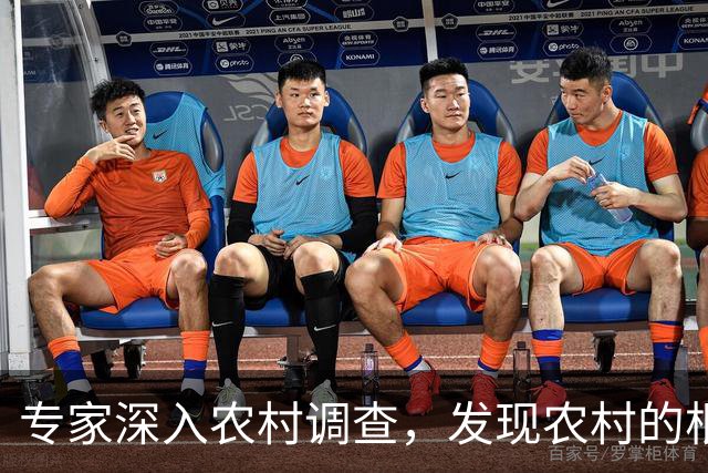专家深入农村调查，发现农村的根本问题不是收入太低