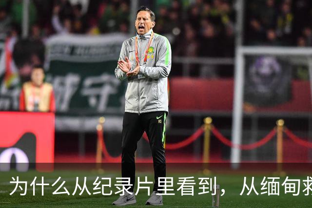 为什么从纪录片里看到，从缅甸救回来的受害者几乎全是男性？因为被骗进园区的女孩逃脱率基本为零