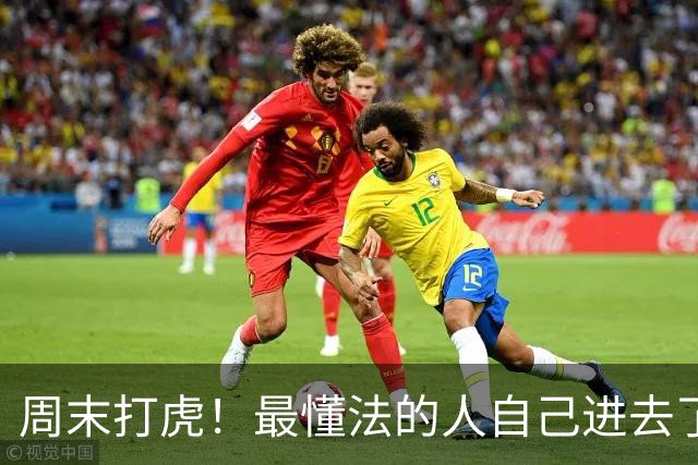 周末打虎！最懂法的人自己进去了，真让人笑话