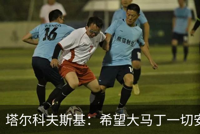 塔尔科夫斯基：希望大马丁一切安好，我当时并没有在要点球