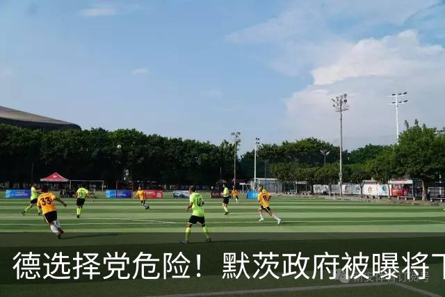 德选择党危险！默茨政府被曝将下死手，企图强行取缔选择党