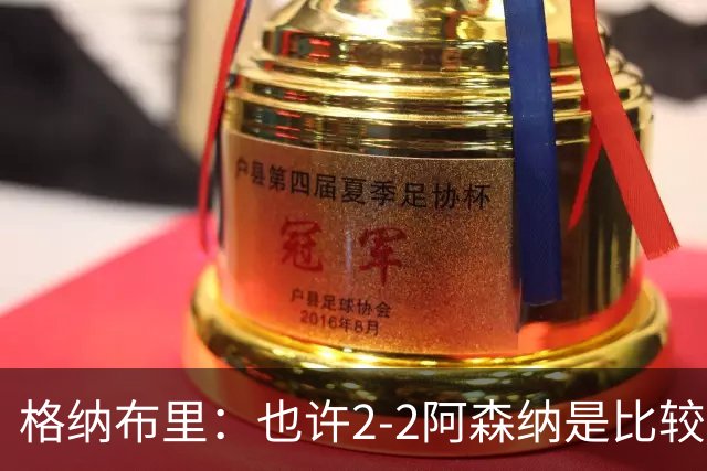 格纳布里：也许2-2阿森纳是比较公平的 防守反击绝不是我们风格