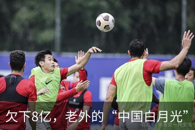 欠下8亿，老外的“中国白月光”香消玉殒