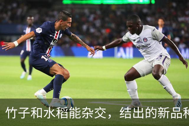 竹子和水稻能杂交，结出的新品种竹稻米能不能吃？怎么做到的？