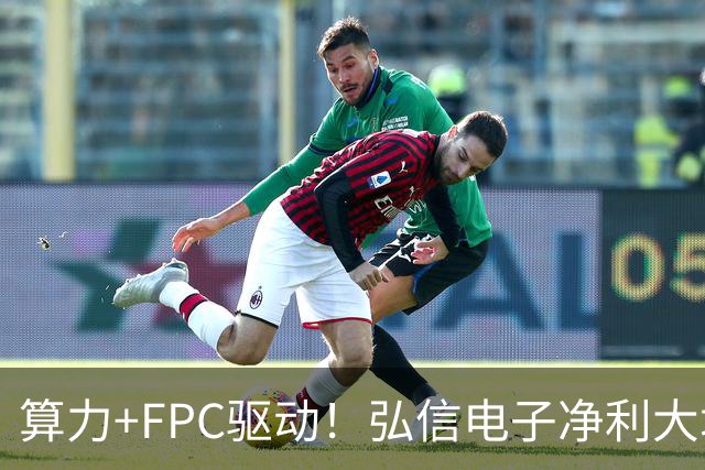 算力+FPC驱动！弘信电子净利大增139%，股价较年内高点回撤超40%